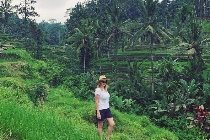 Ubud Private Tour : Best Of Ubud - Guided Tour - Stop 3: Tegalalang Rice Terrace and the Subak Irrigation System
