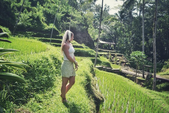 Ubud Private Tour : Choice Your Own Trip - Sacred Monkey Forest Sanctuary, animals and temples in one walk