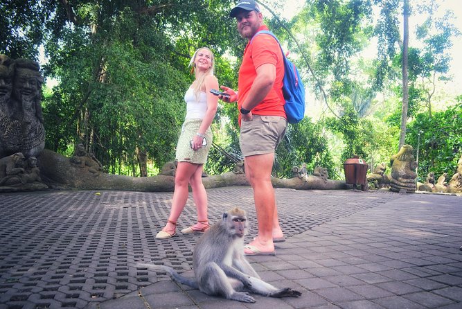 Ubud Private Tour : Choice Your Own Trip - Ubud Traditional Art Market, gifts, sarongs, and carvings