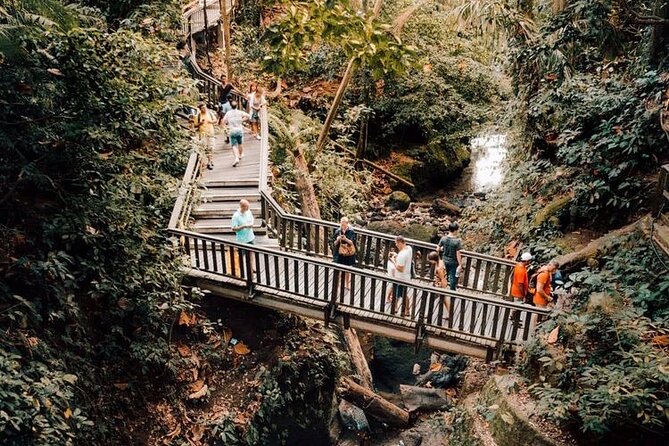 Ubud Private Tour: Monkey Forest, Rice Terrace, Temple, Waterfall - A full Ubud highlights day, without the stress