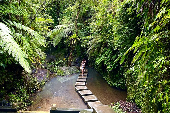 Ubud Private Tour: Monkey Forest, Rice Terrace, Temple, Waterfall - Ulu Petanu Waterfall: a hidden-feeling stop you can actually swim