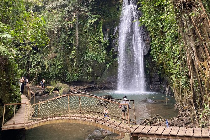 Ubud Private Tour: Monkey Forest, Rice Terrace, Temple, Waterfall - Tirta Empul Temple: holy spring water and the ritual of making a wish