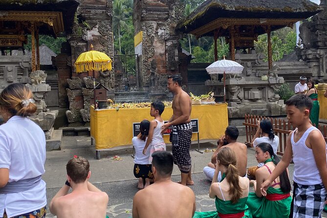 Ubud Private Tour: Monkey Forest, Rice Terrace, Temple, Waterfall - Price and logistics: is $27 good value, and what you still pay?