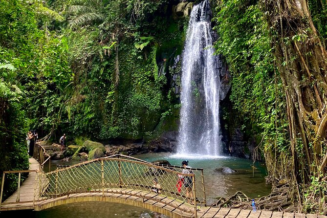 Ubud Private Tour: Monkey Forest, Rice Terrace, Temple, Waterfall - Who this private tour fits best