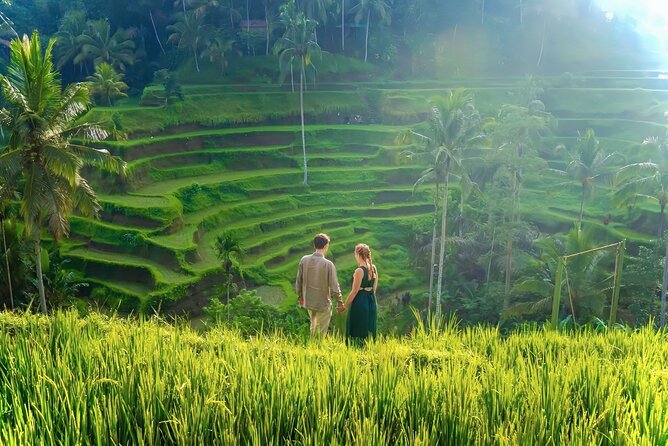 UBUD Private Tour – Rice Terrace, Jungle Swing & Hidden Waterfall - Private comfort: pickup, air-conditioning, and a driver-guide who plans your day