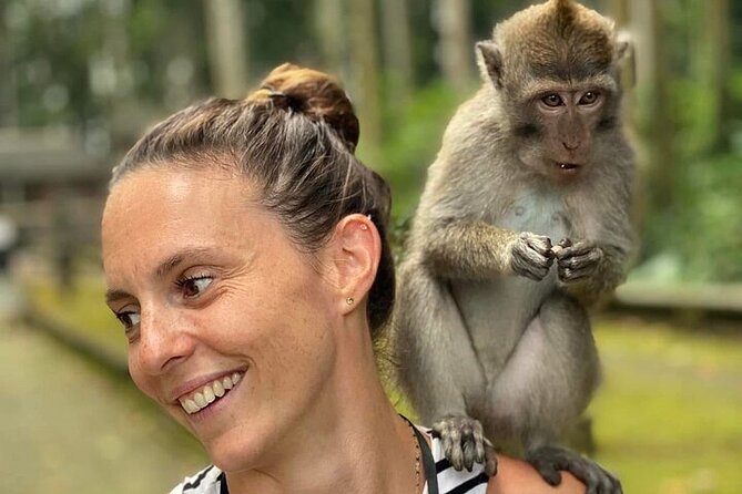 UBUD Private Tour – Rice Terrace, Jungle Swing & Hidden Waterfall - Cultural choice: Tirta Empul Temple or Sacred Monkey Forest Sanctuary