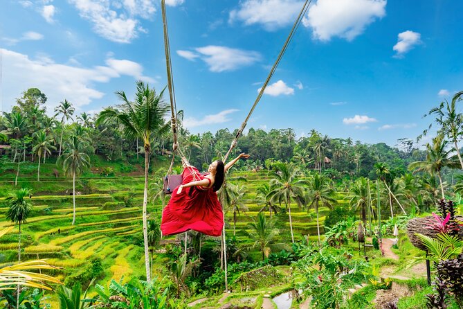 Ubud Private Tour: Waterfalls, Temple and Rice Terraces Swing - Key highlights that make this Ubud day work