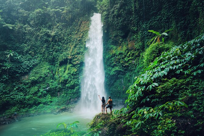 Ubud Private Tour: Waterfalls, Temple and Rice Terraces Swing - Lunch at D Alas Warung with rice-terrace views