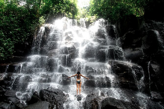 Ubud Private Tour: Waterfalls, Temple and Rice Terraces Swing - Price and value: what $24.82 really buys you