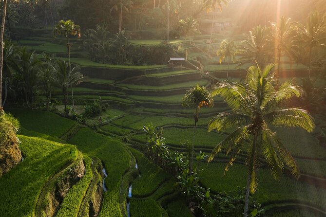 Ubud Private Tour - Waterfalls, Water Temple & Rice Terraces - Tibumana Waterfall: The Calmer Side of Ubud