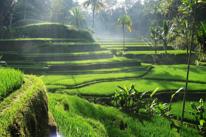 Ubud Private Tour - Waterfalls, Water Temple & Rice Terraces - Kanto Lampo Waterfall: Canyon Steps and Photo Angles