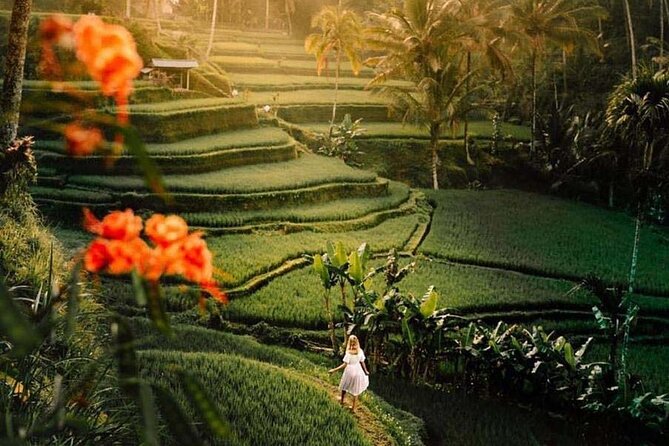 Ubud Private Tour - Waterfalls, Water Temple & Rice Terraces - Tukad Cepung Waterfall Cave Light Rays
