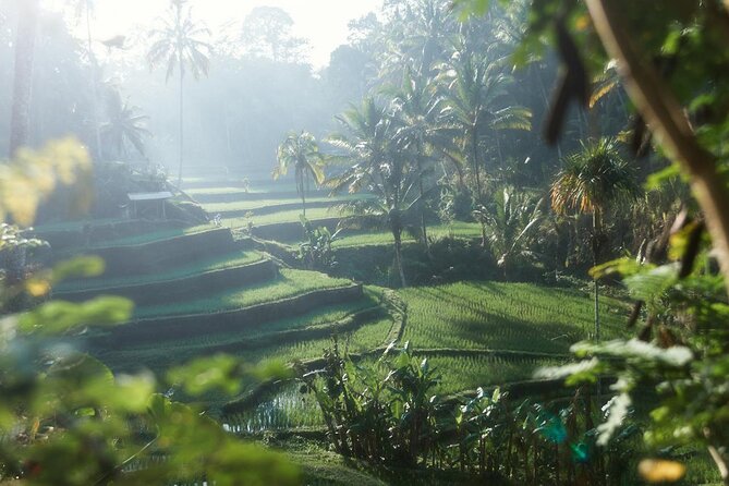 Ubud Private Tour - Waterfalls, Water Temple & Rice Terraces - Lunch at Sari Timbul by Kubu Bali