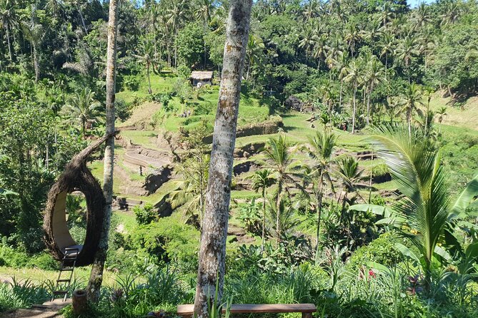 Ubud Private Tour - D’Alas Warung Lunch: A Included Meal That Actually Helps Your Day