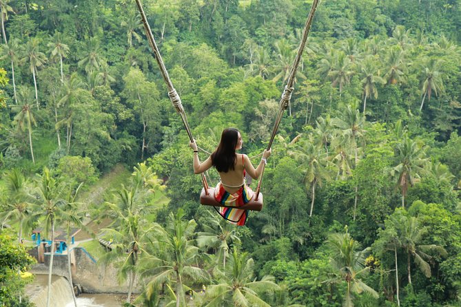 Ubud Private Tours with Jungle Swing Experience - all inclusive - Key highlights worth your attention