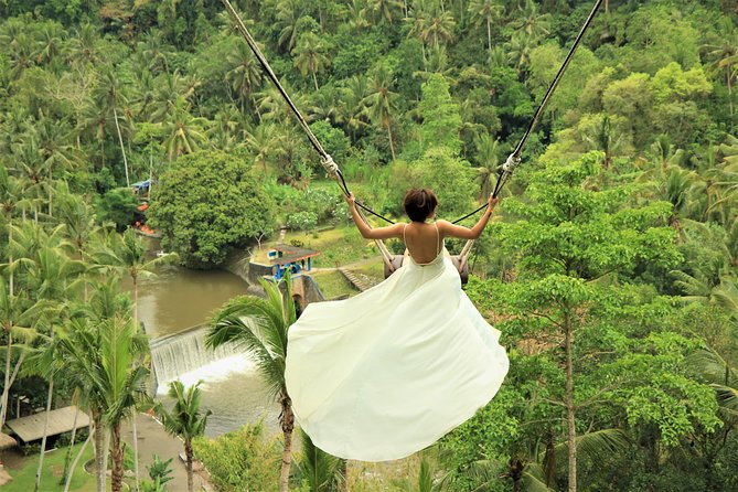 Ubud Private Tours with Jungle Swing Experience - all inclusive - Lunch and all-inclusive value: what your $60 covers