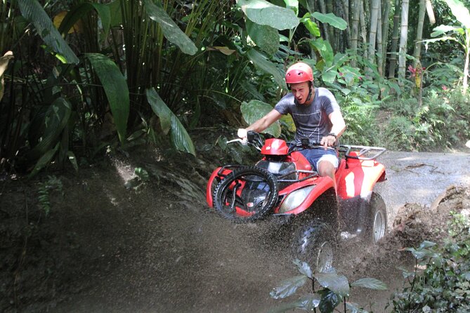 Ubud's Quad Bike - ATV Single Ride - Price in Context: Is $48 Worth It?