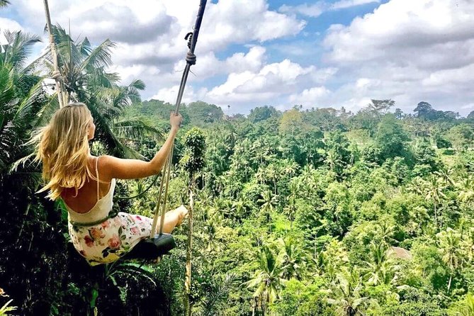 Ubud Sightseeing, Holy Water Temple & Waterfall - Why this Ubud Temples and Waterfall day feels efficient