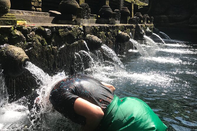 Ubud Sightseeing, Holy Water Temple & Waterfall - Tegalalang Rice Terrace: how to enjoy the viewpoint without rushing