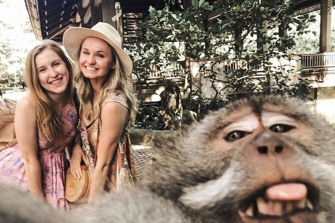 Ubud Skip the line Monkey Forest Sanctuary Ticket and Guided Tour - Price and what $18 covers (and why it matters)