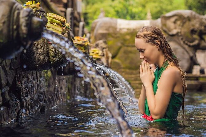 UBUD Spring Temple, Waterfall, Rice Terraces Private Tour - Price and value: what $129.99 per person really covers