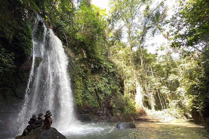 UBUD Spring Temple, Waterfall, Rice Terraces Private Tour - Stop 1: Sacred Monkey Forest Sanctuary, 45 minutes that set the tone