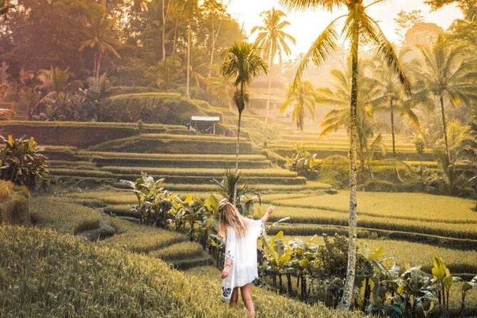 UBUD Spring Temple, Waterfall, Rice Terraces Private Tour - Stop 4: Tirta Empul spring temple, purification with a one-hour window