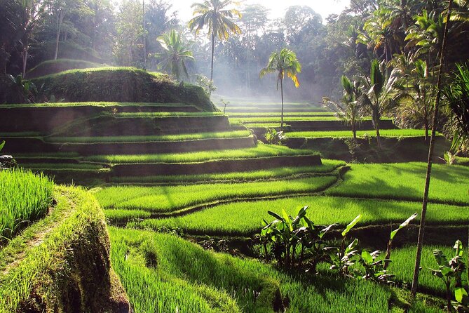 UBUD : Temple and Waterfall All Inclusive Day Tour - Why this Ubud temple and waterfall tour fits a tight schedule