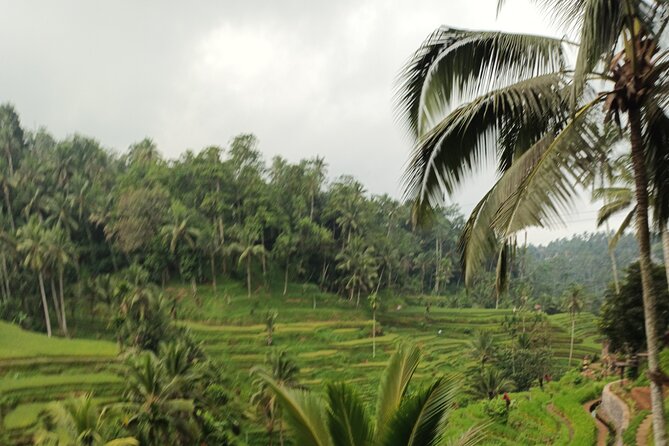 UBUD : Temple and Waterfall All Inclusive Day Tour - Tirta Empul Temple: sacred water and the rules you must respect