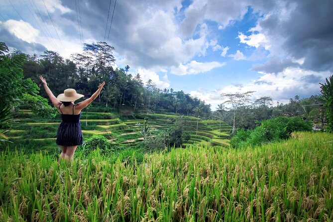 UBUD : Temple and Waterfall All Inclusive Day Tour - Semar Kuning Artist Cooperative: art with real scale behind it