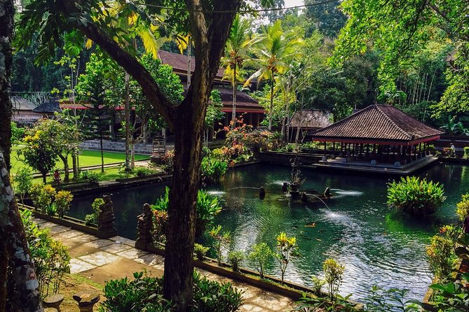 Ubud Top Attractions: Waterfalls, Temples and Rice Terraces - Price and value: why $39 can actually work