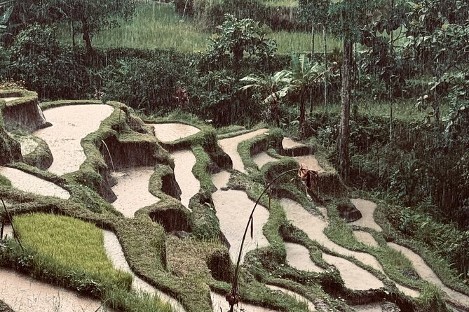 Ubud Top Tours to Discover Bali’s Cultural and Natural Wonders - Key highlights worth knowing before you go