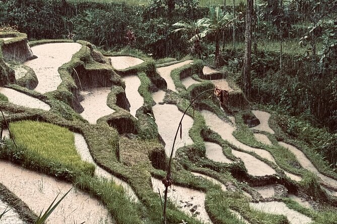 Ubud Top Tours to Discover Bali’s Cultural and Natural Wonders - Stop 2: Ulu Petanu Waterfall and natural pool breaks