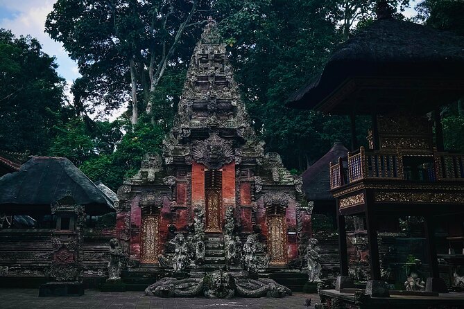 Ubud Top Tours to Discover Bali’s Cultural and Natural Wonders - Stop 4: Pakudui village and the Tegalalang rice terraces views