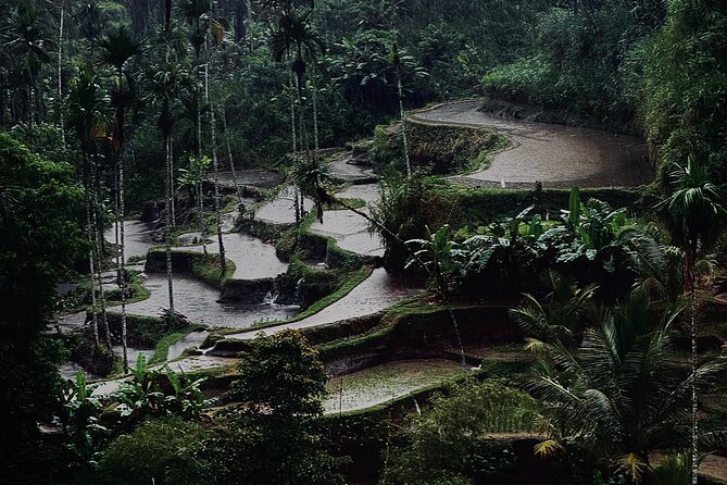 Ubud Top Tours to Discover Bali’s Cultural and Natural Wonders - Stop 5: Tirta Empul Temple and the holy spring water ritual