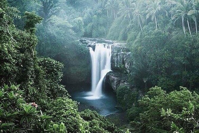 Ubud Top Tours to Discover Bali’s Cultural and Natural Wonders - What makes the driver and guide quality a real part of the value