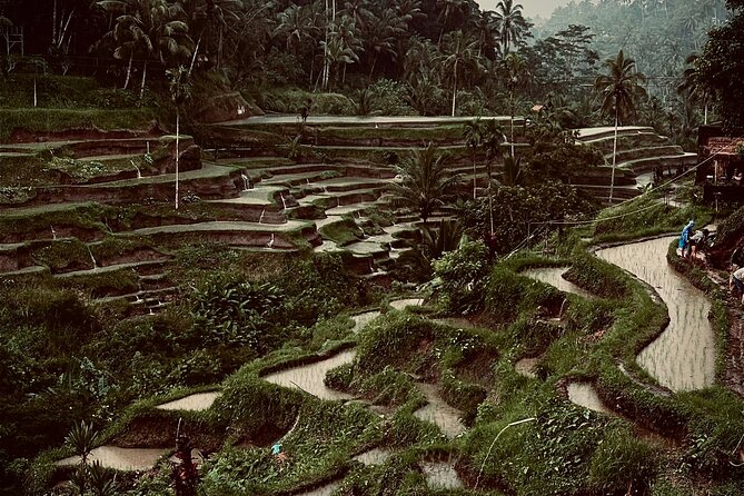 Ubud Top Tours to Discover Bali’s Cultural and Natural Wonders - Price and value: what $64 buys you and where you’ll spend extra