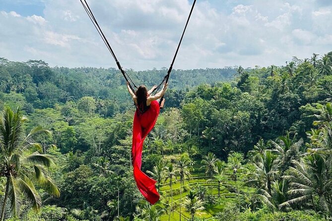 Ubud Tour-All Inclusive with Jungle Swing And Lunch - Who should book this Ubud jungle swing day?