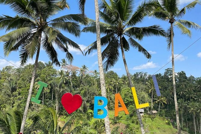 Ubud Tour - Highlight of Ubud - Traditional Tour - How door-to-door pickup turns a hard day into an easy one