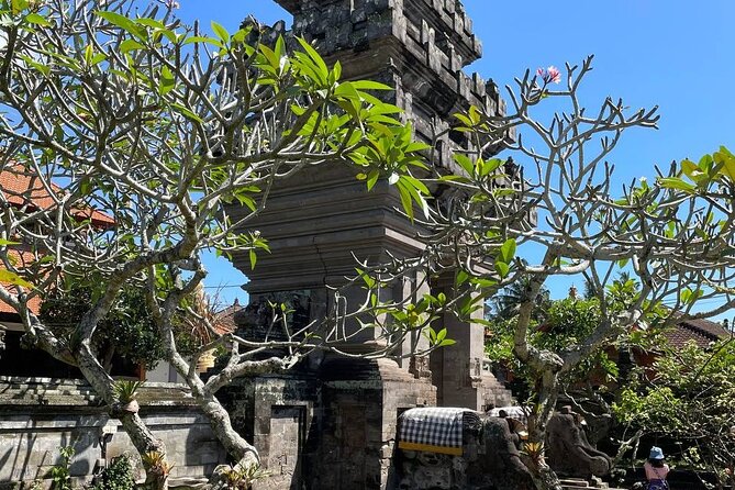 Ubud Tour - Highlight of Ubud - Traditional Tour - The guide experience: how to get real value from a private driver