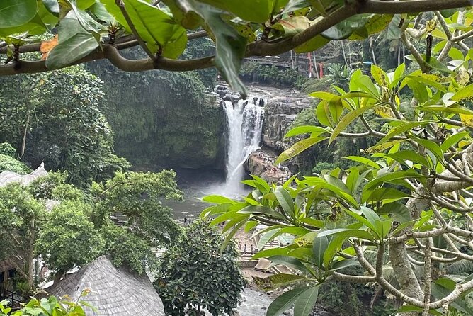 Ubud Tour - Highlight of Ubud - Traditional Tour - Weather and what to do if your day gets rearranged