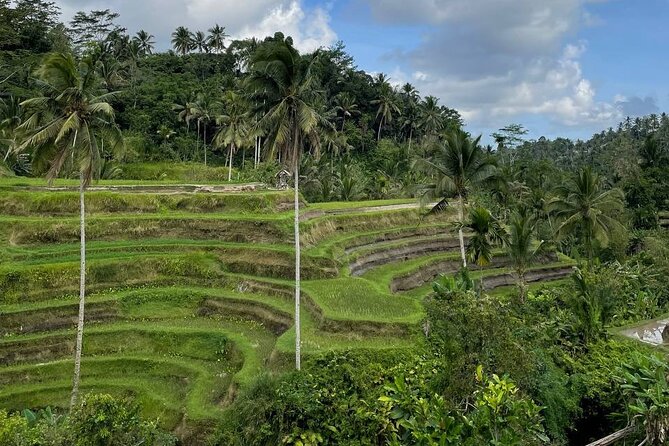 Ubud Tour - Highlight of Ubud - Traditional Tour - Your Ubud route, stop by stop: what each place is for