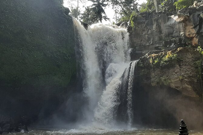 Ubud Tour - Highlights of Ubud - Tegalalang Rice Terrace: Classic Views, Swing Photos, and Time to Breathe