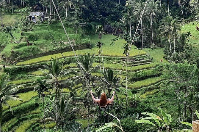 Ubud Tour - Highlights of Ubud - Sacred Monkey Forest Sanctuary: A Protected Place to See Monkeys