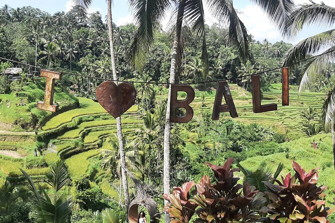 Ubud Tour - Highlights of Ubud - Price and Value: Is $100 Per Person a Good Deal?