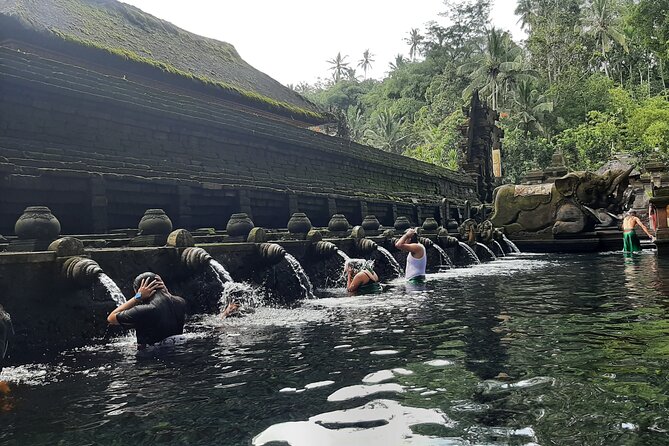 Ubud Tour - Highlights of Ubud - Tirta Empul Temple: Watching Ancient Purification at the Holy Springs