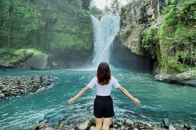 Ubud Tour Water Temple with Jungle Swing - Ubud’s Best Mix: Monkeys, Sacred Water, Rice Terraces, and the Jungle Swing