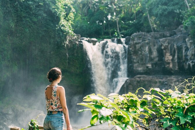 Ubud Tour Waterfall Rice Terrace Temple and Art Village - Stop 3: Tegalalang Rice Terrace and the Subak Irrigation Story