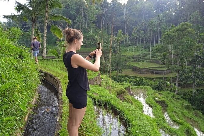 Ubud Tour with all includes - Tegenungan Waterfall: Walk Closer, Decide Your View