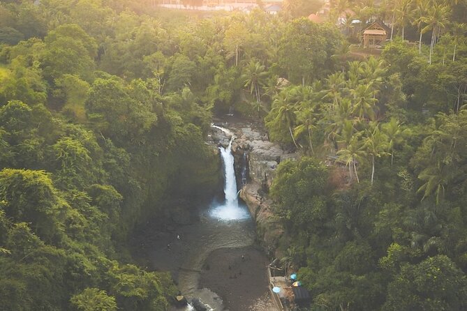Ubud Tour with Jungle Swing and Waterfall Water Temple - Stop-by-Stop: How the Day Flows (and Where It Can Feel Tight)